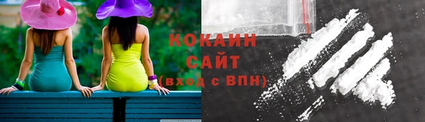 дживик Михайловск