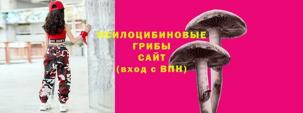 прущие крисы Михайлов