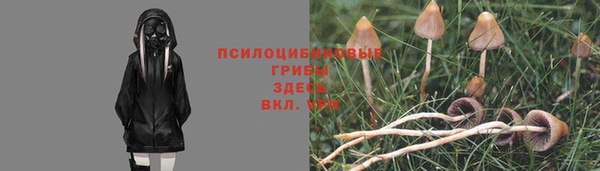 дживик Михайловск