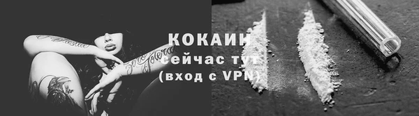 шишки Наволоки