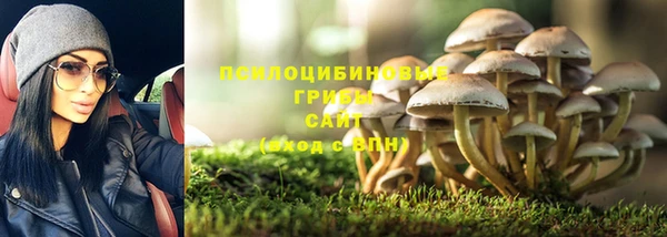мяу мяу кристалл Надым