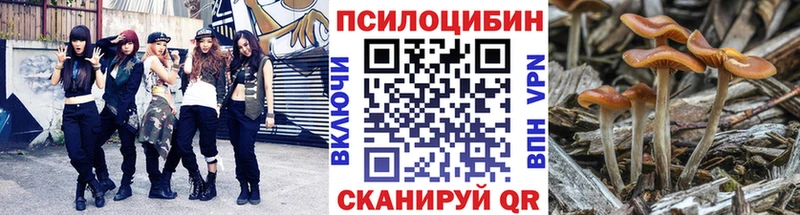 Псилоцибиновые грибы мухоморы  цены наркотик  Мамадыш 